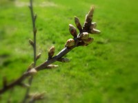 /album/strzy%c5%bcewko-w-obiektywie-/dscf3135-jpg/