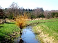 /album/strzy%c5%bcewko-w-obiektywie-/dscf3141-jpg/