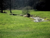 /album/strzy%c5%bcewko-w-obiektywie-/dscf3166-jpg/